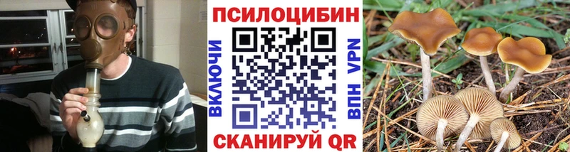 сайты даркнета официальный сайт  Губкин  Галлюциногенные грибы Psilocybine cubensis 
