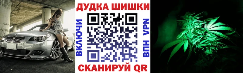 shop формула  Губкин  Каннабис сатива 